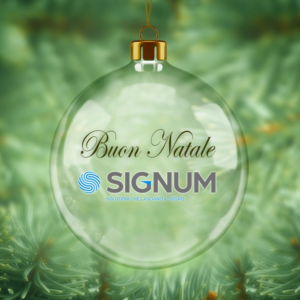 Buon Natale 2024 Signum FB